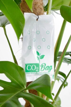 Rivoluzionario CO₂ bag, Nr1 al mondo!